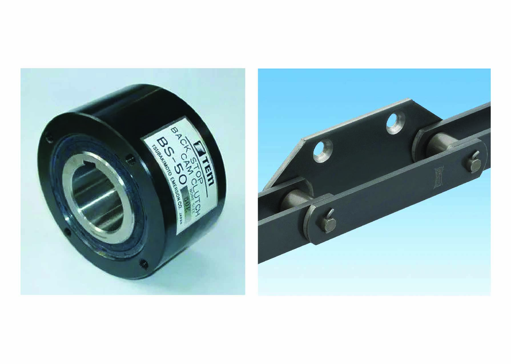 Tsubakimoto Image 11